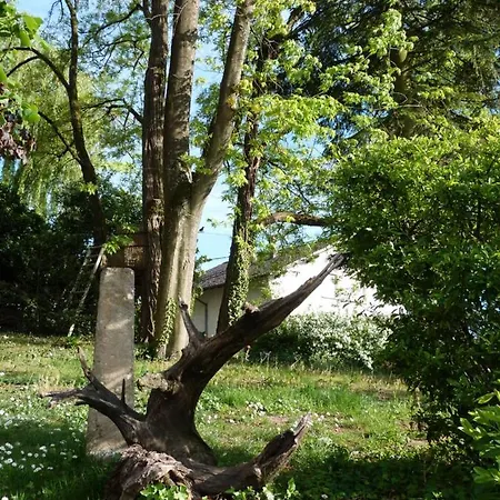 D'maïsala Les Mésanges Hébergement de vacances *