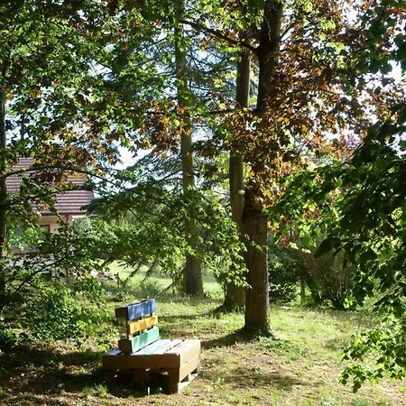 D'maisala Les Mesanges 別荘 Heidwiller