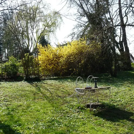 D'maisala Les Mesanges *