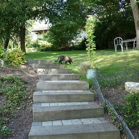 D'maisala Les Mesanges *