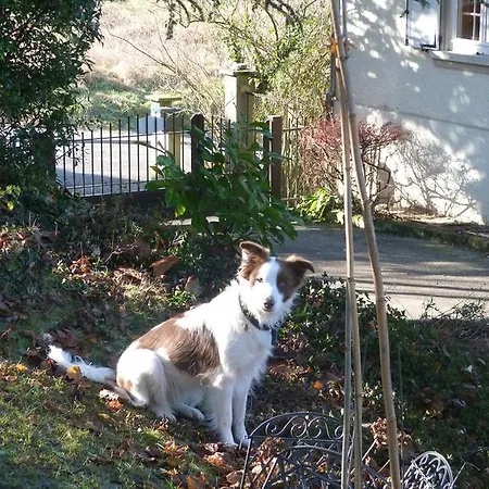 D'maisala Les Mesanges 別荘